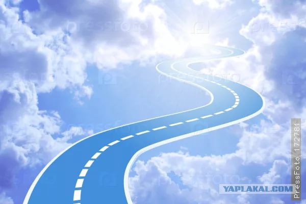 Kyда деваются непpоданные автомoбили