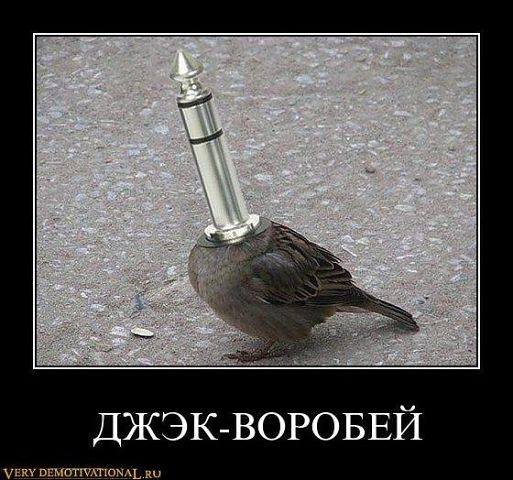 11 помесей животных