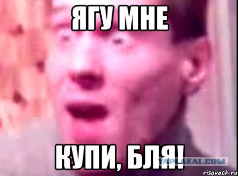 Алкотур в картинках из соцсетей.