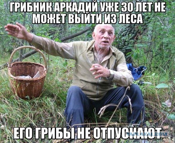 Нестандартный юмор