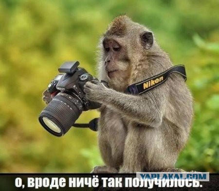 Картинок разных