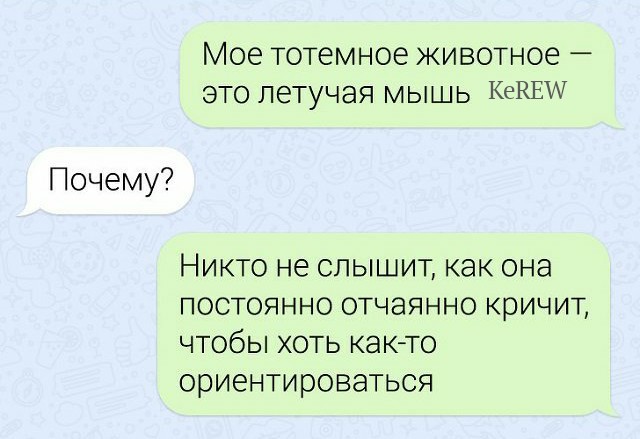 Немного картинок в этот понедельник - 22.07.19