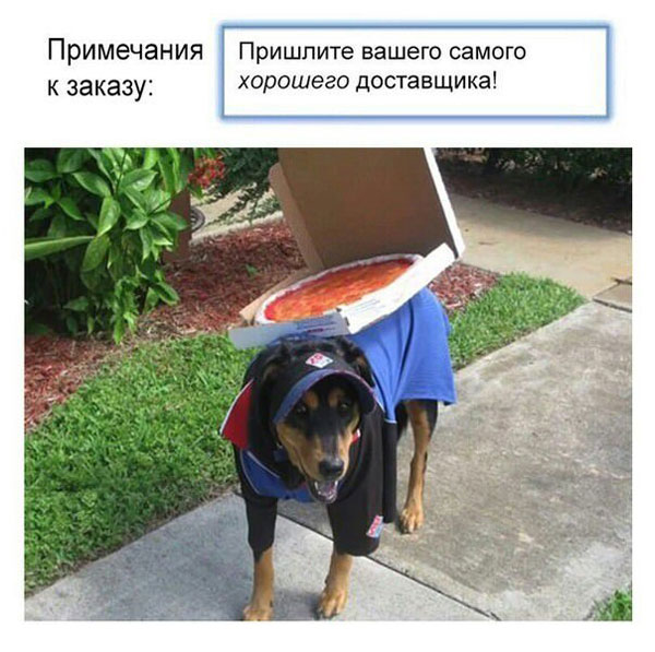Картинки с надписями и анекдоты