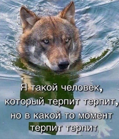 Не очень адекватный юмор