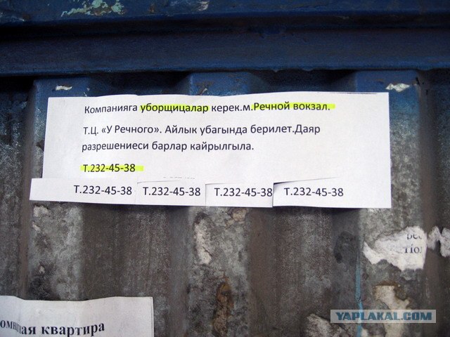 объявление о работе