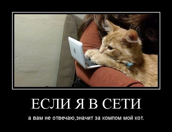 Немного картинок для настроения 04.06.20