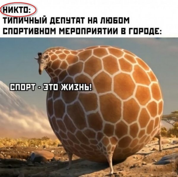 Прикольные и просто красивые картинки 14.01.2021