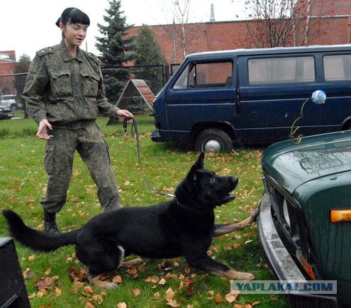 Новый замначальника пожарной части в Москве избавился от собаки, которая прожила в части 11 лет.
