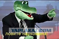 Динозавров засняли в подземной шахте