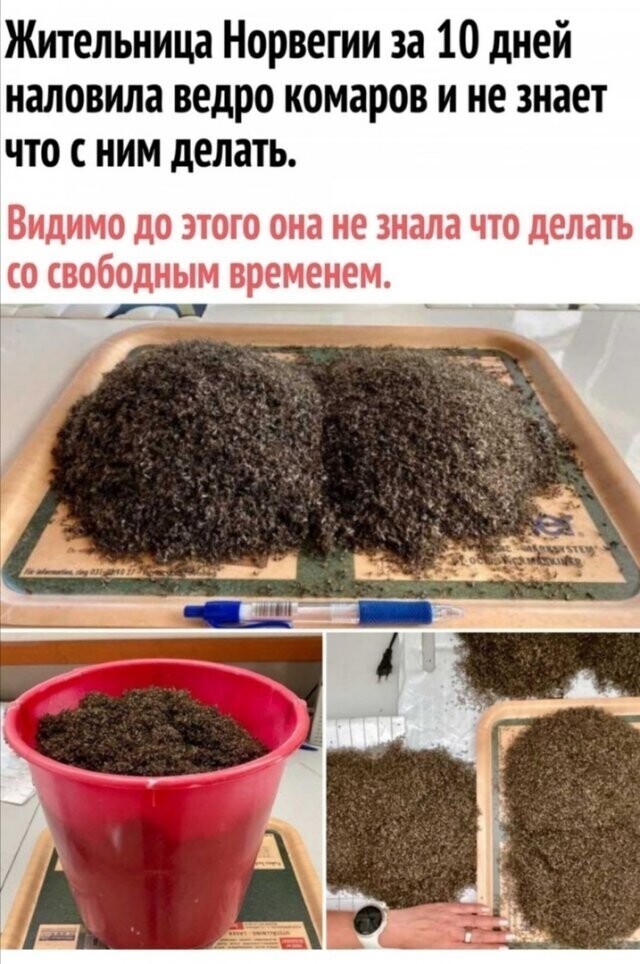 Картинки и мемы для настроения 024