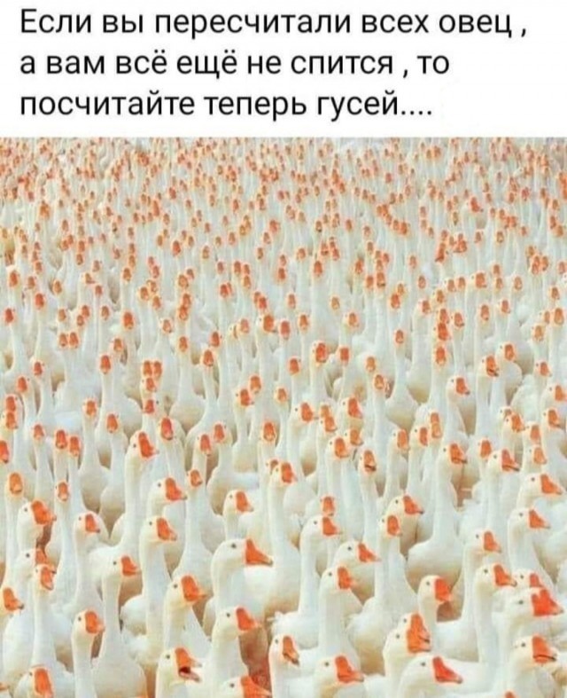 Для хорошего сна 7