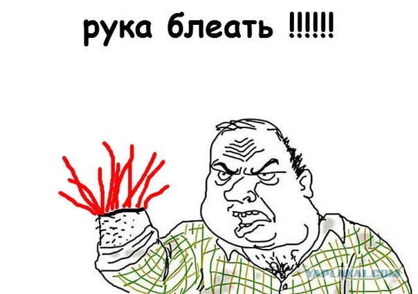 Парня из Волгограда преследовали умные мысли, но он всегда был быстрее
