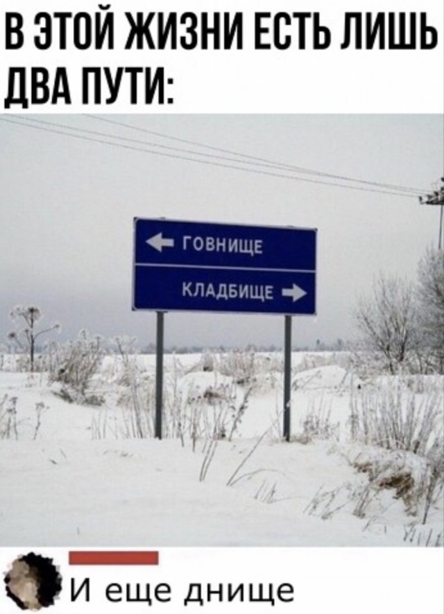 Картинки и мемы. Выходные близко...