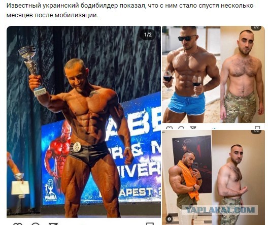 "Когда решил обидеть очкарика"