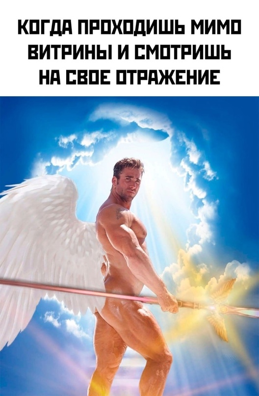 Весёлый полтишок 18.12.2023
