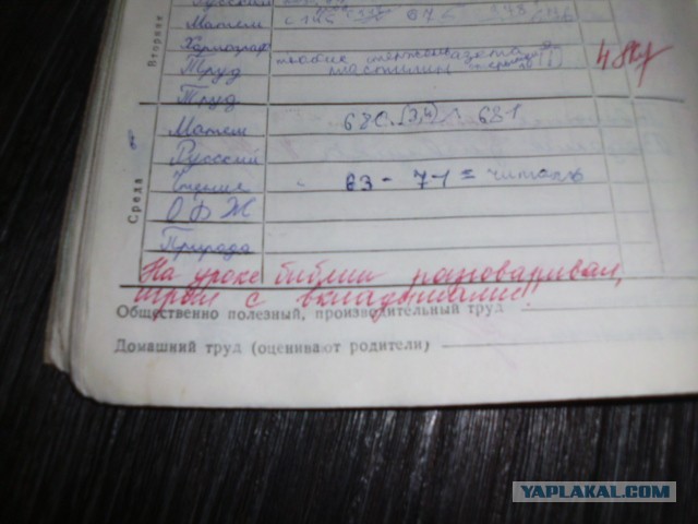 Забавные школьные дневники