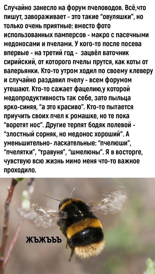 Так себе картинки 24.03.25