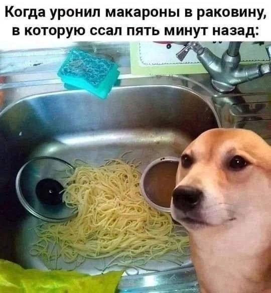 Ну, разбавим вторник позитивом!