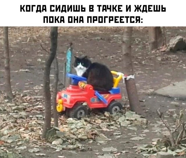 Октябрь, день десятый …