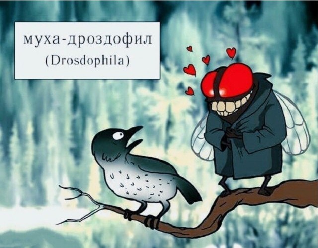 Милота дня
