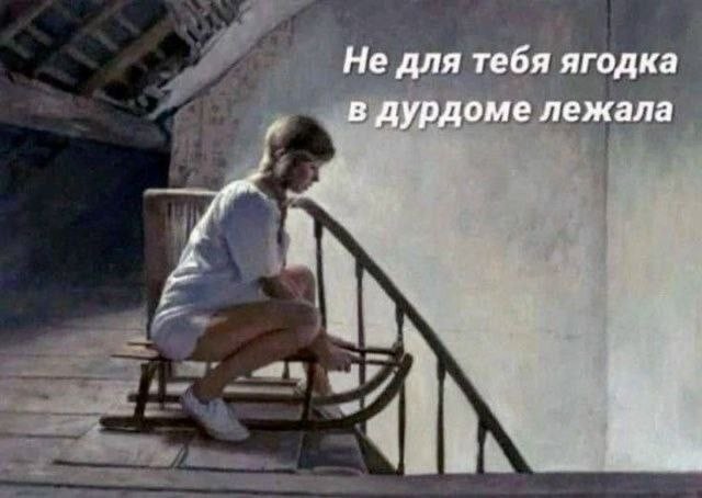 Так себе картинки 22.02.26