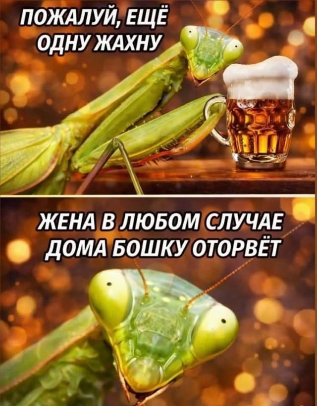 Картинки для деградации 149 (разной степени свежести)