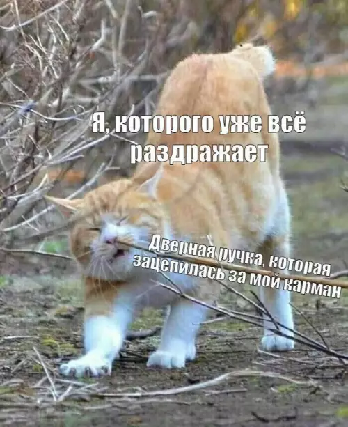 Картиночки, баянчики 10 марта