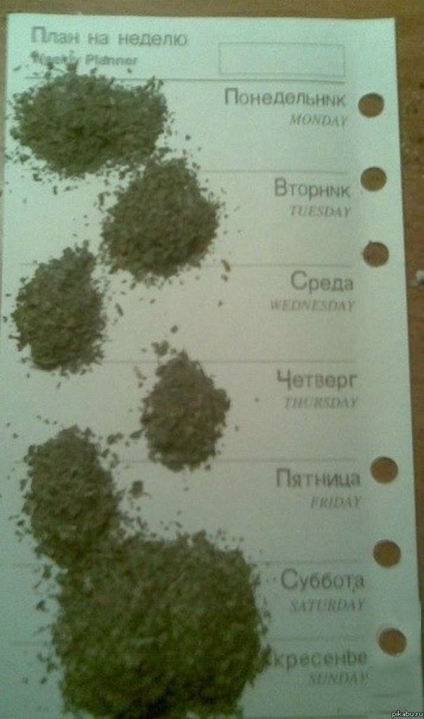 А у нас есть план?