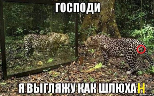 Веселые картинки в понедельник (17.08)