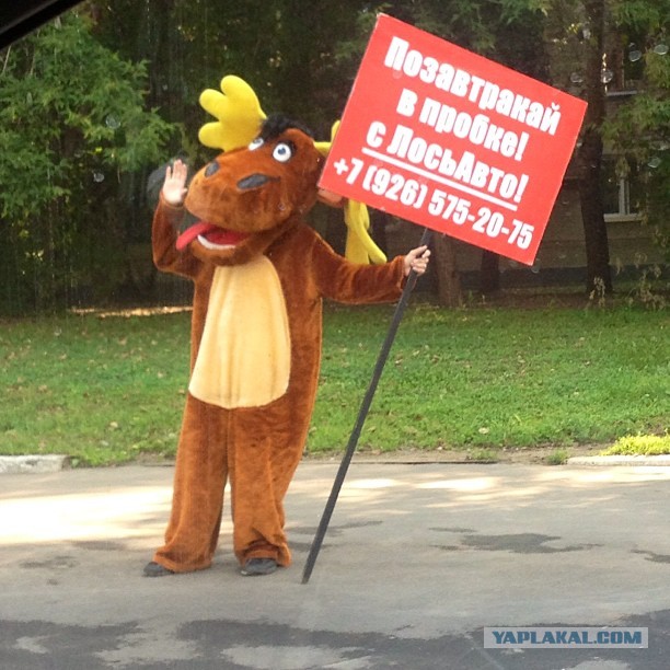 Лось не пробегал?