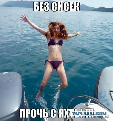 Крик души, когда "СИСЕГ НЕТ"
