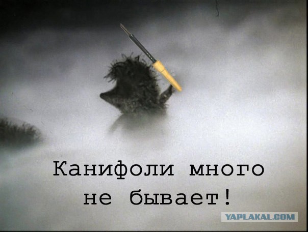 Веселые картинки