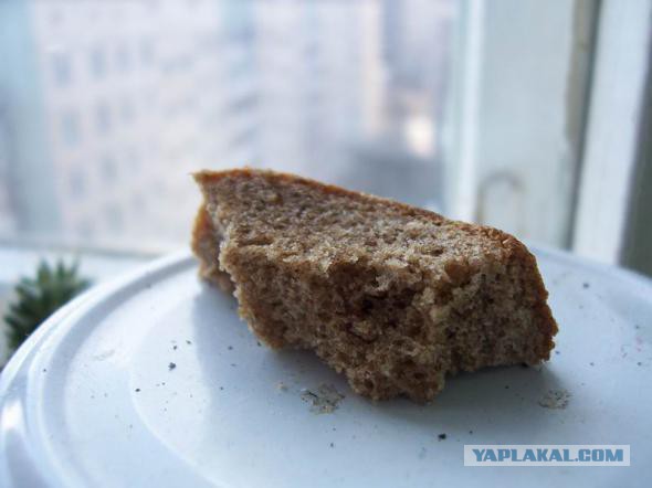 Продуктовая корзина на 1000 руб в разных странах
