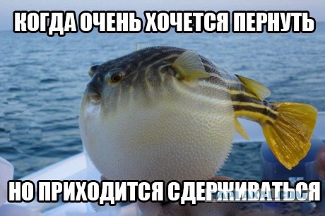 Смешные картинки, приколы, комментарии и прочее...