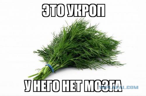 Перемирие кончилось, едва начавшись., часть 3