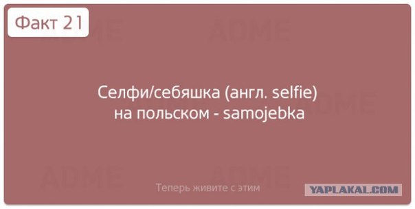 СЕЛФИ! этож надо блядь до такого додуматься!