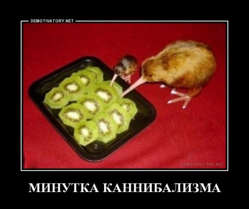 Подборка прикольных фото на пятницу