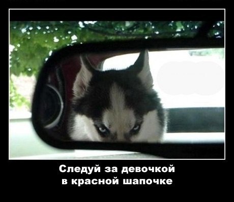 Подборка картинок