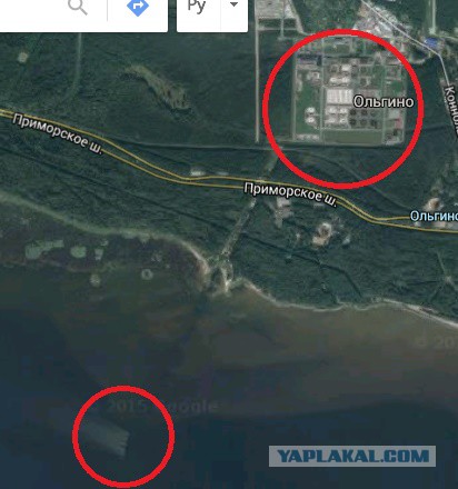 Что можно найти на дне городского канала
