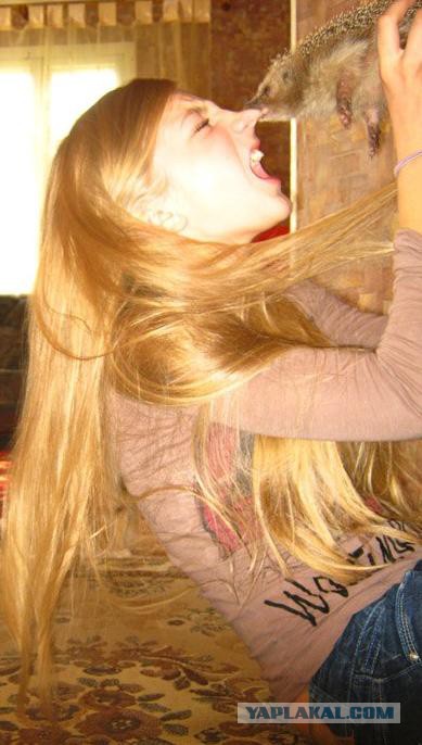 Добрый вечер