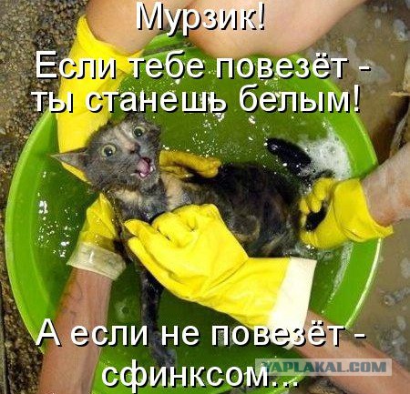 Абсурдный юмор ч.12