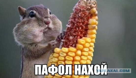 25 мая 2016: Обмен Надежды Савченко на Евгения Ерофеева и Александра Александрова