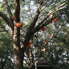 Флорида.Орландо.