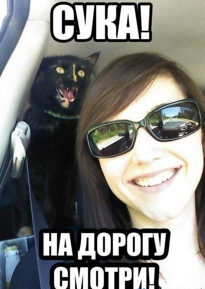Авто йумар