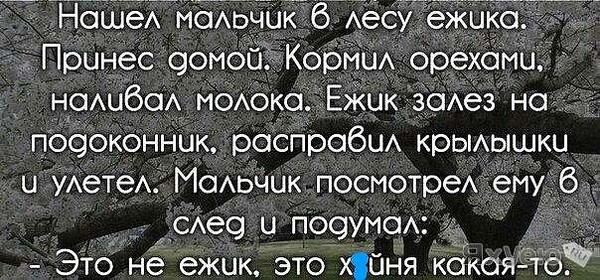 Забавные комментарии, шутки и фразы из этих ваших интернетов