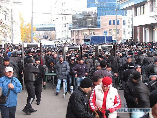 «Закрыты все входы в офис, к окнам нельзя подходить». Что сотрудники «Яндекса» рассказывают о визите Путина