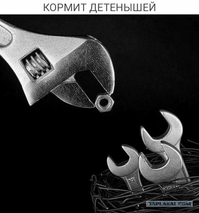 Подборка интересных и веселых картинок