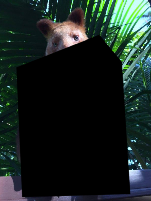 30 снимков, которые помогут улыбнуться даже в самый ненастный день