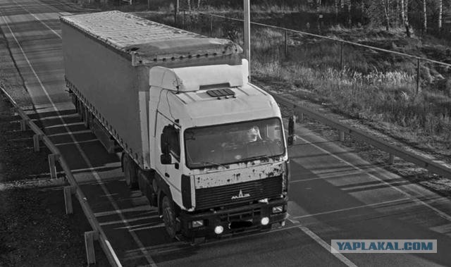 Рязанский дальнобойщик с полицейским эскортом продемонстрировал протестные лозунги на «КамАЗе» (фото и видео).