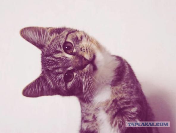 Успели спасти ребенка!